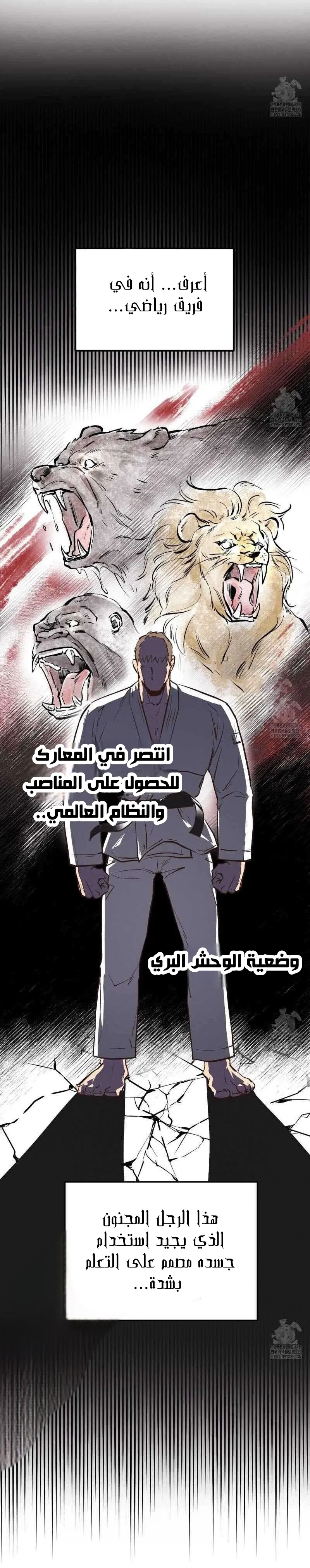 دب العسل – الفصل 40 page 19